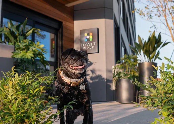 Hyatt Place Atlanta/Perimeter Center