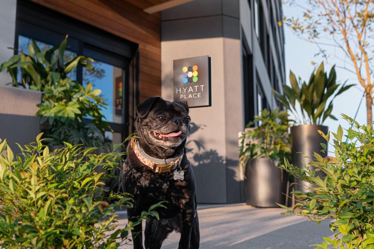 Hyatt Place Atlanta/perimeter Center Hotel